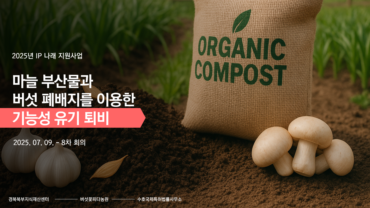 버섯꽃피다